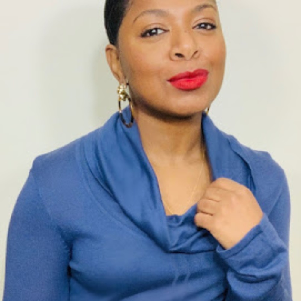 ⭐️Carissa Cowl Neck Fitted Knit Top (NWT)